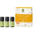 Produktbild: Primavera Duftöl Duftendes Zitrusglück, Energie und Lebensfreude, für Duftlampen, 3x 5 ml