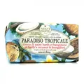 Produktbild: 837524002407 NESTI DANTE Paradiso Tropicale St.Barth's Coconut  Frangipani