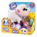 Produktbild: 630996264768 Little Live Pets. Owieczka Cobi