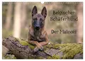 Produktbild: Belgischer Schäferhund - Der Malinois (Wandkalender 2026 DIN A3 quer), CALVENDO Monatskalender: Die Facetten einer Hunderasse (CALVENDO Tiere)