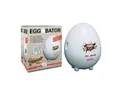 Produktbild: Lucky Reptile Reptilieninkubator Egg-o-Bator, Brutapparat