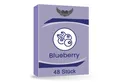 Produktbild: Lovelyness Kondome - mit Geschmack Aroma: Blaubeere
