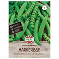 Produktbild: Sperli Saatgut Markerbse Wunder von Kelvedon