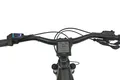 Produktbild: Bosch Intuvia 100 Display