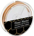 Produktbild: Trout Master Fine Gold X8 PE 0,10mm 8,2kg - 120m Angelschnur