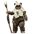 Produktbild: Star Wars The Black Series Paploo, Action-Figur Rückkehr der Jedi-Ritter, 15 cm