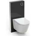 Produktbild: WC-Sparpaket 7 Bernstein Dusch-WC Basic 1102 Sanitärmodul 805 Schwarz