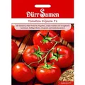 Produktbild: Dürr Samen Tomaten Diplom F1 Saatgut