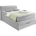 Produktbild: Boxspringbett BX 1440 - Grau