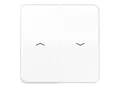 Produktbild: Jung Wippe Symbole aws für Taster CD 595 P WW (CD595PWW)