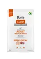 Produktbild: Brit Care Hypoallergenes Hundefutter für Erwachsene, mittelgroß, Lamm, 3 kg