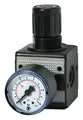 Produktbild: Riegler D-Regler multifix / G 1/4 BG1 / 0,5-10 bar / Manometer - 100417