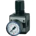 Produktbild: Druckregler MULTIFIX Gew.mm 11,89 BG I G 1/4 Zoll 0,5-10bar 1500l/min RIEGLER
