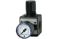 Produktbild: RIEGLER Druckluftschlauch Riegler Druckregler multifix inkl. Manometer BG 1 G 1/4 0,5 - 10 ...