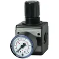 Produktbild: Riegler Druckregler multifix inkl. Manometer BG 1 G 1/4 0,5 - 10 bar - 100417