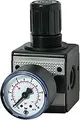 Produktbild: Riegler D Regler multifix / G 1/4 BG1 0 5 bis 10 bar Manometer
