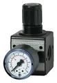 Produktbild: Riegler D-Regler multifix / G 1/4 BG1 / 0,5-10 bar / Manometer - 100417