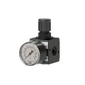 Produktbild: RIEGLER 100417 Druckregler MULTIFIX Gewinde mm 11,89 BG I G 1/4 '' 0,5 - 10 bar