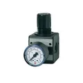 Produktbild: Riegler Druckregler MULTIFIX Gew.mm 11,89 BG I G 1/4 Zoll 0,5-10bar 2100l/min