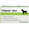 Produktbild: Felipren Akut Kautabletten bei u. nach Durchfall für Hunde