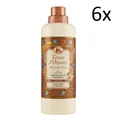 Produktbild: 6x Tesori d'oriente BYZANTIUM Schwarze Rose und Labdanum Weichspüler 750 ml