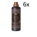 Produktbild: 6x Tesori d'oriente HAMMAM Arganöl und orange Blumen Weichspüler 750 ml