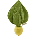 Produktbild: Oli and Carol Mini Doudou - Teether John Lemon (49153380)
