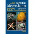 Produktbild: Meeresfauna - Niedere Tiere Rotes Meer, Indischer Ozean (Malediven). 392 Arten in Wort u. Bild