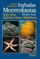 Produktbild: Meeresfauna - Niedere Tiere | Werner Baumeister | Deutsch | Taschenbuch | 320 S.