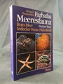 Produktbild: Farbatlas Meeresfauna, 2 Bde., Bd.1, Niedere Tiere: Rotes Meer, Indischer Ozean