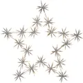 Produktbild: Star LED-Silhouette 'Flower, 200 ww LED