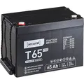 Produktbild: Accurat Traction T65 Pro AGM Bleiakku - 12V, 65Ah, +30% Startleistung, wartungsfrei, zyklenfest -VRLA Batterie, Bootsbatterie, USV Batterie,Versorgungsbatterie, Solarbatterie,Blei Batterie für Camping