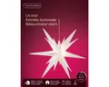 Produktbild: Lumineo LED Dekolicht LED Stern Dauerbetrieb BO Outdoor Ø 30cm H.30cm weiss/warmes weiss