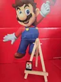 Produktbild: Super Mario Bros. Wonder Nintendo Switch Spiel (nur Modul)