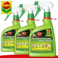Produktbild: COMPO 3 x 1010 ml Rasenunkraut-Vernichter Banvel® Quattro AF Gänseblümchen Wiese