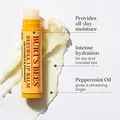 Produktbild: 4er Pack Lippenbalsam mit Bienenwachs - pflegender Honey Lippenstift