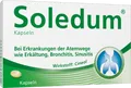 Produktbild: MCM KLOSTERFRAU Vertr. GmbH SOLEDUM 100 mg magensaftresistente Kapseln 100 St 06349838