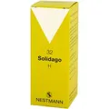 Produktbild: Solidago H 32 Tropfen 100 ml
