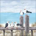 Produktbild: 20 Papierservietten, Servietten MÖWEN | Seagulls on the dock by Ambiente