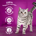 Produktbild: Whiskas Adult 1+ Trockenfutter Katzentrockenfutter Lamm 5er Pack 5 x 800g