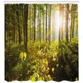 Produktbild: Abakuhaus Duschvorhang Moderner Digitaldruck mit 12 Haken auf Stoff Wasser Resistent Breite 175 cm, Höhe 220 cm, Wald Sonnenstrahlen Woods Laub braun|gelb|grün 175 cm x 220 cm
