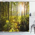 Produktbild: ABAKUHAUS Wald Duschvorhang, Sonnenstrahlen Woods Laub, Stoffliches Gewebe Badezimmerdekorationsset mit Haken, 175 x 220 cm, Braun Grün Gelb