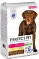 Produktbild: Perfect Fit Adult 1+ Trockenfutter für mittelgroße und große Hunde (>10 kg), 11,5kg (1 Beutel) – Premium Hundefutter trocken reich an Huhn