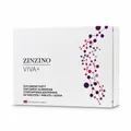 Produktbild: ZinZino Viva+ - Nootropic Mood & Focus Pills, Magnesium, B Vitamins