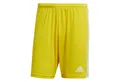 Produktbild: adidas Performance Trainingsshorts adidas Herren Shorts Squadra 21