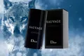 Produktbild: Dior SAUVAGE Deo Stick 75 ml Deodorant  NEU & OVP
