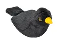 Produktbild: Wild Republic VÖGEL MIT Sound - Blackbird