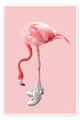 Produktbild: Poster Sneaker-Flamingo - Jonas Loose