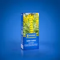 Produktbild: Kiepenkerl Gelbe Lupine, 0,25 kg 1080600 - kräftig gelbe Blütenstände mit tiefer Durchwurzelung - Blumensamen, Gründünger, Bodenlockerung, Bodenverbesserer