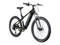 Produktbild: Zündapp Z898 E- MTB (Schwarz/Grün)